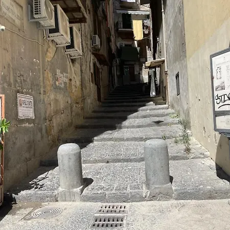 Nase e cane home Napoli-2